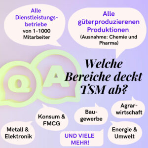 4 welche bereiche deckt tsm ab